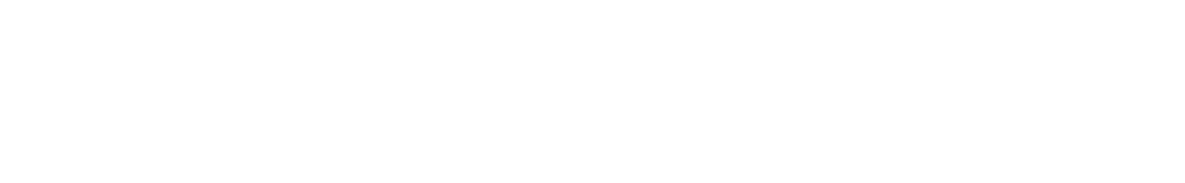 Лига Полёт